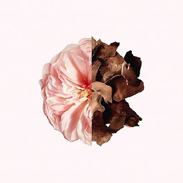 Irresistible Givenchy Hair mist - Parfum pentru par