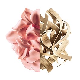 Irresistible Eau de Parfum Rose Velvet - Set cadou