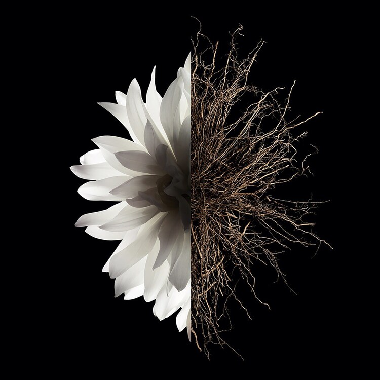 L'Interdit Eau de Parfum - Set