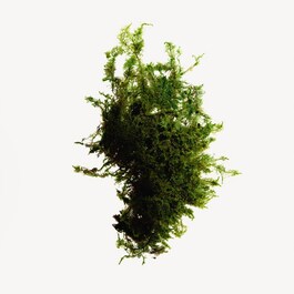 Ressource Rich Moisturizing Cream - Bogaty krem nawilżający 