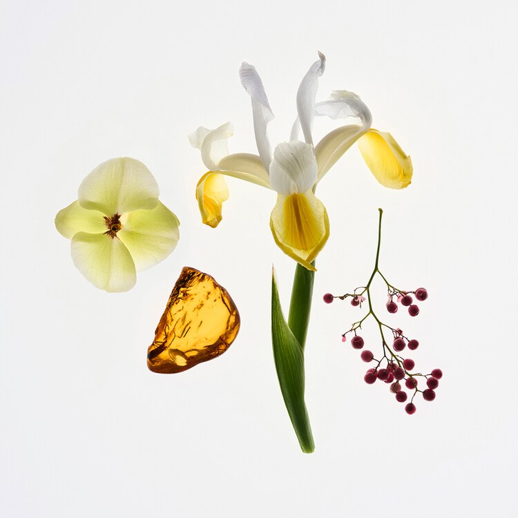 Glossier You Solid - Parfum solide