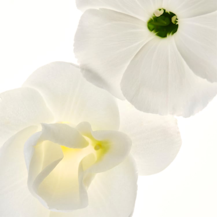 Full Orbit - Crème yeux éclaircissante