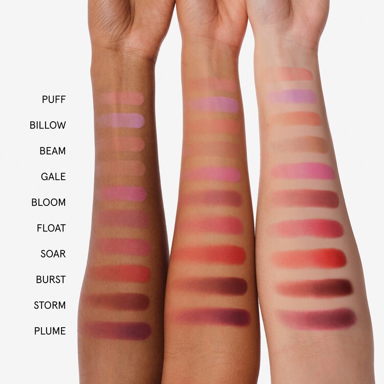 Cloud Paint Plush Blush - Fard à joues en poudre