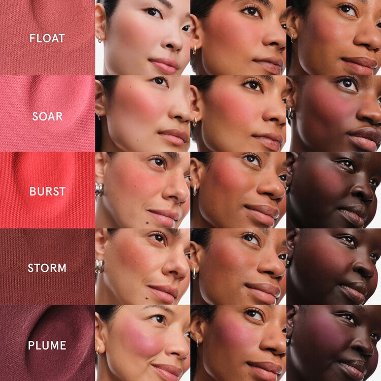 Cloud Paint Plush Blush - Fard à joues en poudre