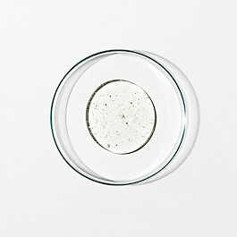Hand Wash: Sweet Orange, Cedarwood, Sage 
