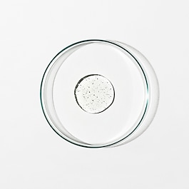Body Cleanser: Chamomile, Bergamot, Rose