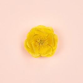 Gucci Bloom Ambrosia d'Oro - Woda Perfumowana