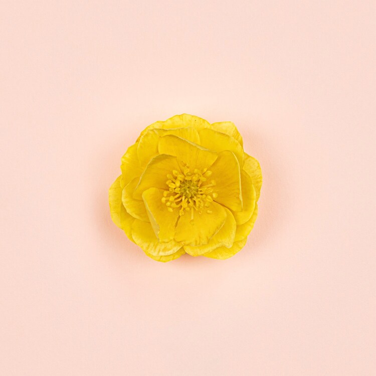 Gucci Bloom Ambrosia d'Oro for Women - Eau de Parfum