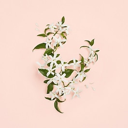 Gucci Bloom Ambrosia d'Oro - Woda Perfumowana