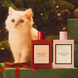 Estuche Gucci Bloom - Eau de Parfum