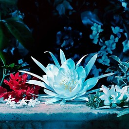 Gucci Bloom Intense - Woda perfumowana (format podróżny)