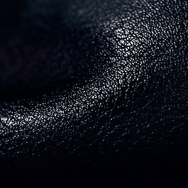 The Alchemist's Garden Muschio Mineralis - Eau de Parfum