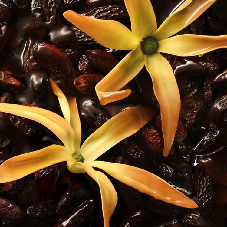 The Alchemist's Garden Ylang Ambrato - Eau de Parfum