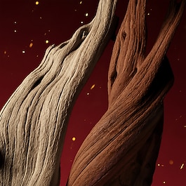 The Alchemist's Garden Lignum Idealis - Eau de Parfum