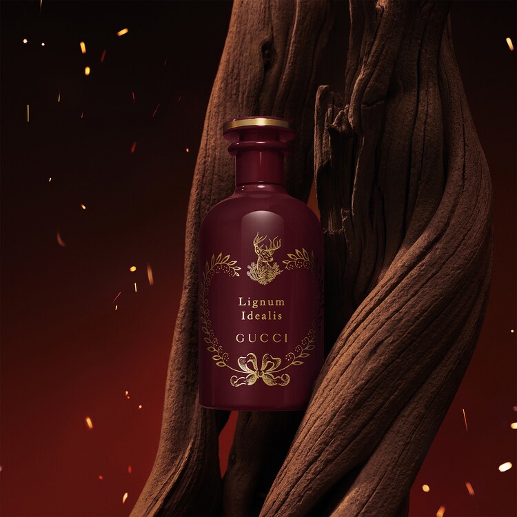 The Alchemist's Garden Lignum Idealis - Eau de Parfum