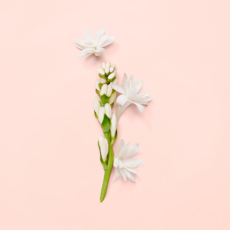 Gucci Bloom - Eau de Parfum Florale Poudrée