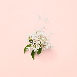 Bloom Eau de Parfum
