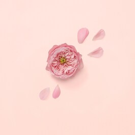 Bloom Nettare di Fiori - Parf&eacute;mov&aacute; voda