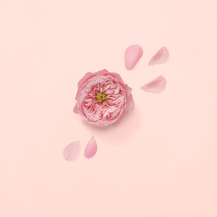 Bloom Nettare di Fiori - Parfémová voda