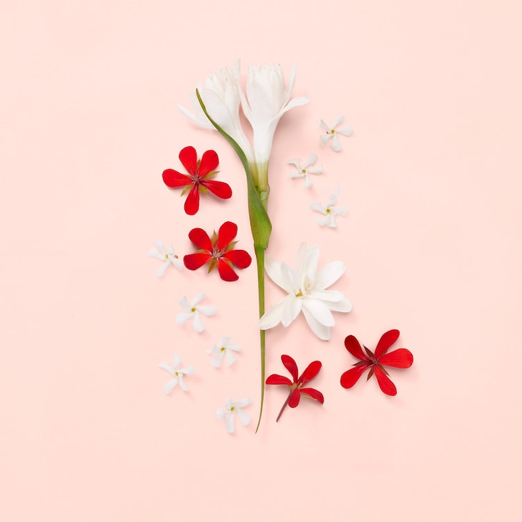 Bloom Nettare di Fiori - Parfémová voda