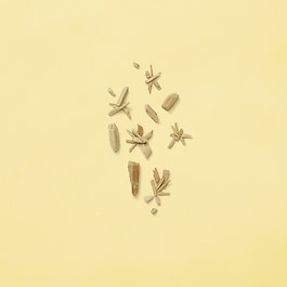 Mémoire D'une Odeur - Eau De Parfum