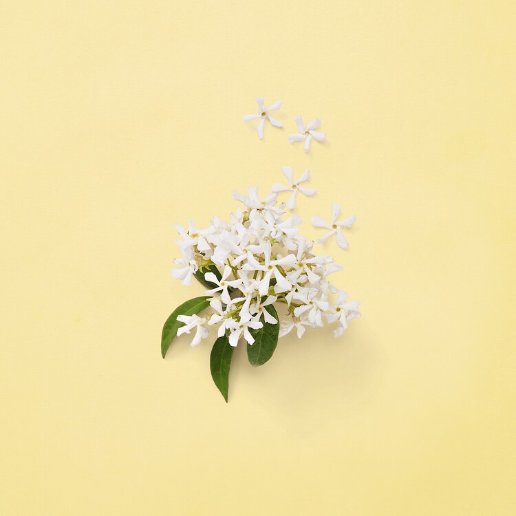 Mémoire D'une Odeur - Eau De Parfum