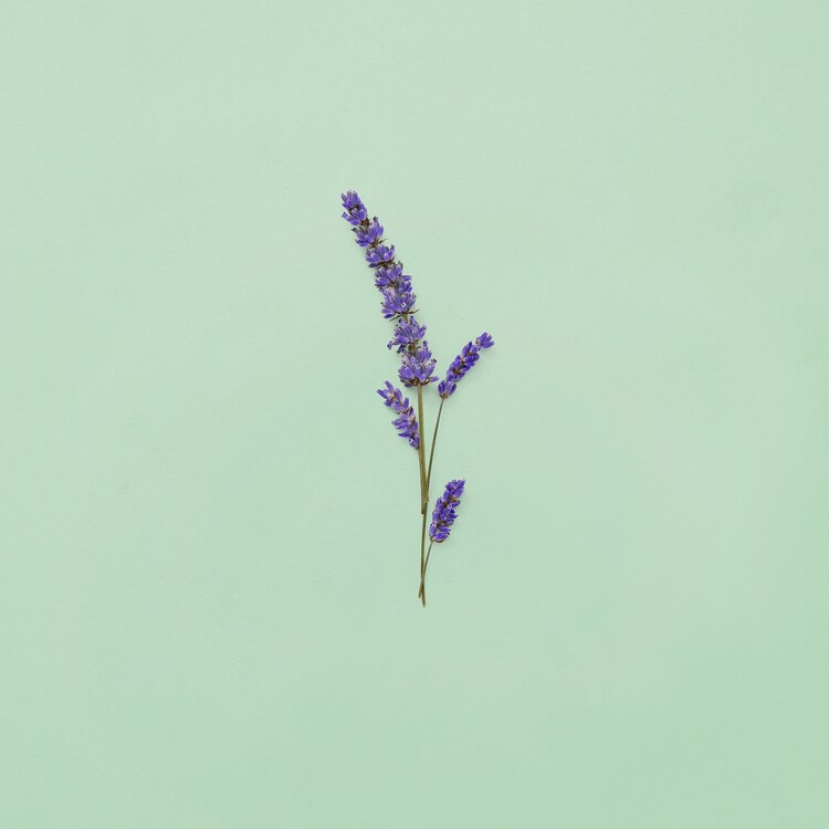 Gucci Guilty - Eau de Toilette Uomo