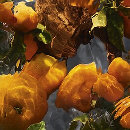 Aqua Allegoria Mandarine Basilic Forte Eau de Parfum