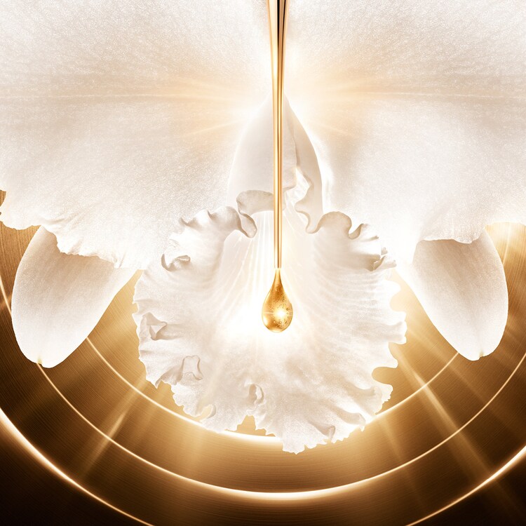Orchidée Impériale Gold Nobile The Serum