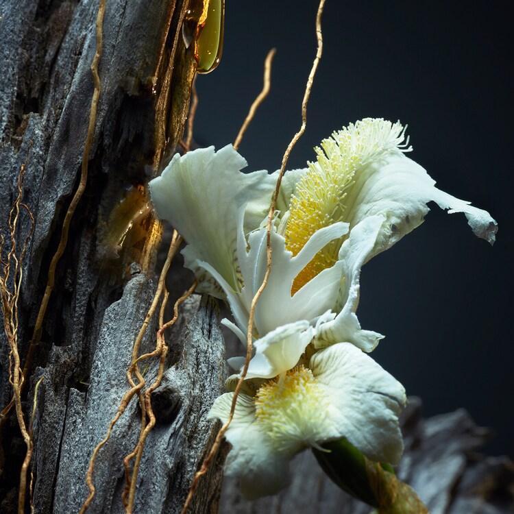 Vétiver Le Parfum - Eau de Parfum