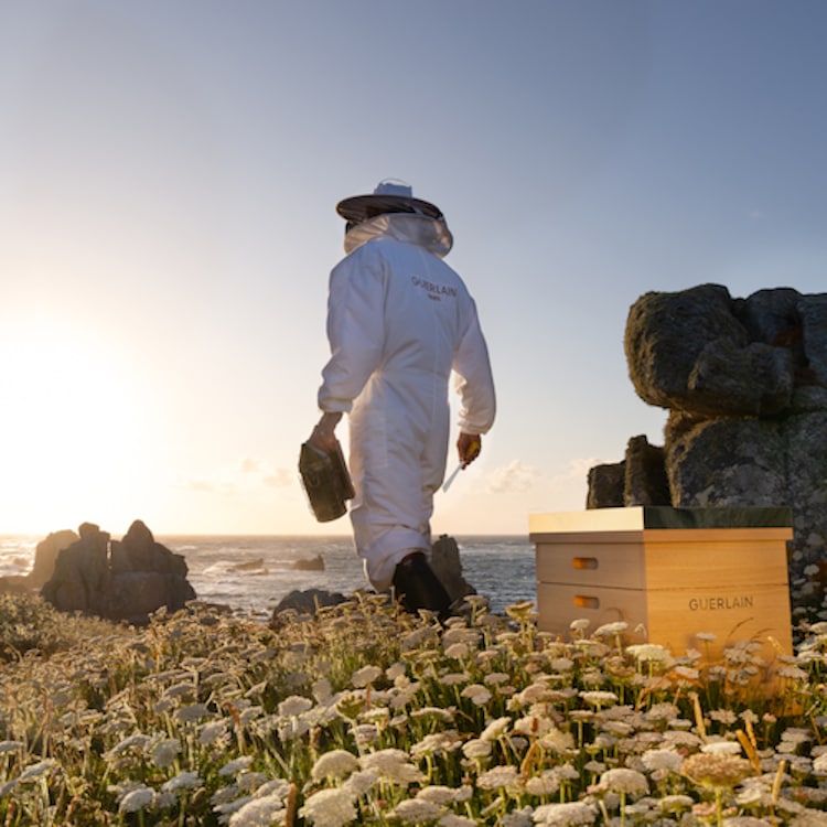 Abeille Royale - Rituel Anti-âge Honey Teatment Crème Jour 