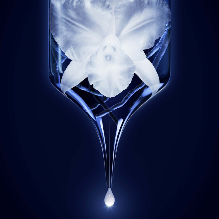 Orchidée Impériale - The Foam In Cream