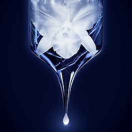 Orchidée Impériale - The Oil in Gel
