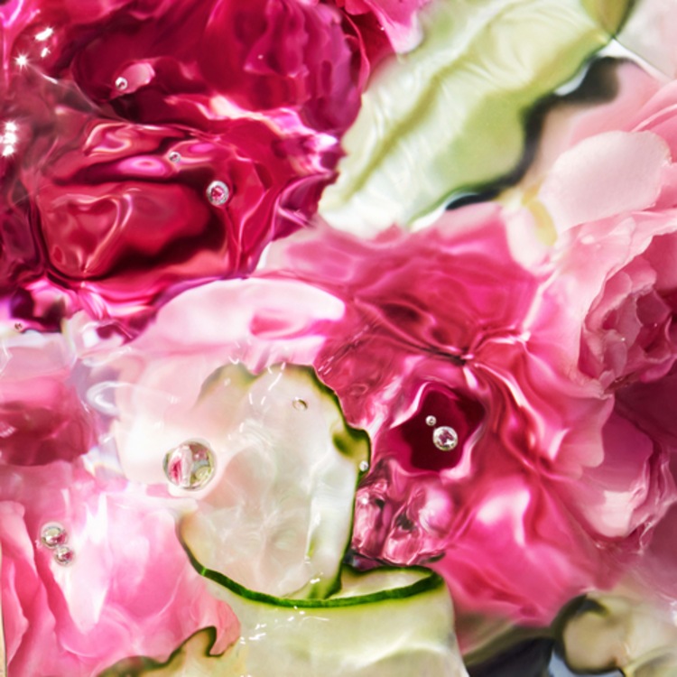 Aqua Allegoria Rosa Verde - Crème Mains