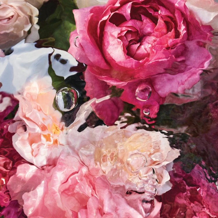 Aqua Allegoria Rosa Rossa - Crème Mains