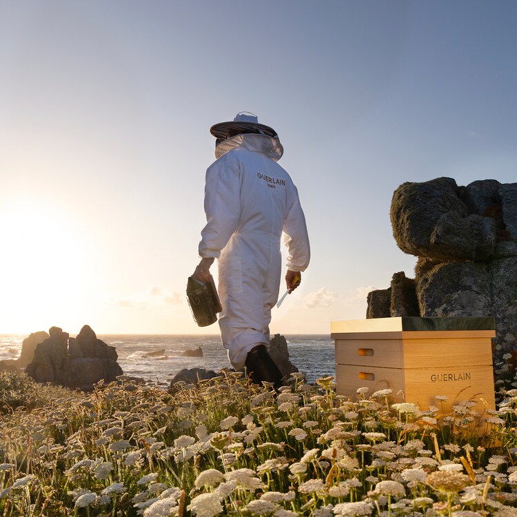Abeille Royale Honey Bond Treatment - Soin Sans Rinçage