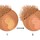 TERRACOTTA - THE BRONZING POWDER LIMITED EDITION