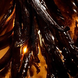 Shalimar L'Essence - Eau de Parfum Intense