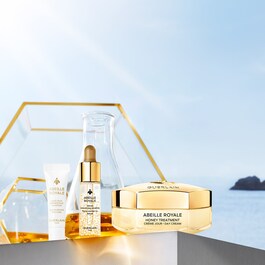 Abeille Royale Honey Treatment Day Cream - Il Cofanetto