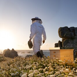 Abeille Royale Honey Treatment Day Cream - Il Cofanetto