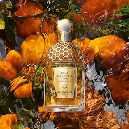 Aqua Allegoria Forte Mandarine Basilic - Coffret Eau de Parfum