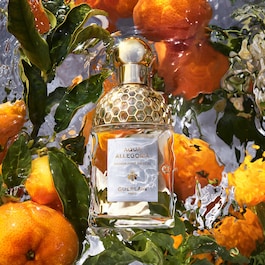 Aqua Allegoria Mandarine Basilic - Coffret Eau de Toilette