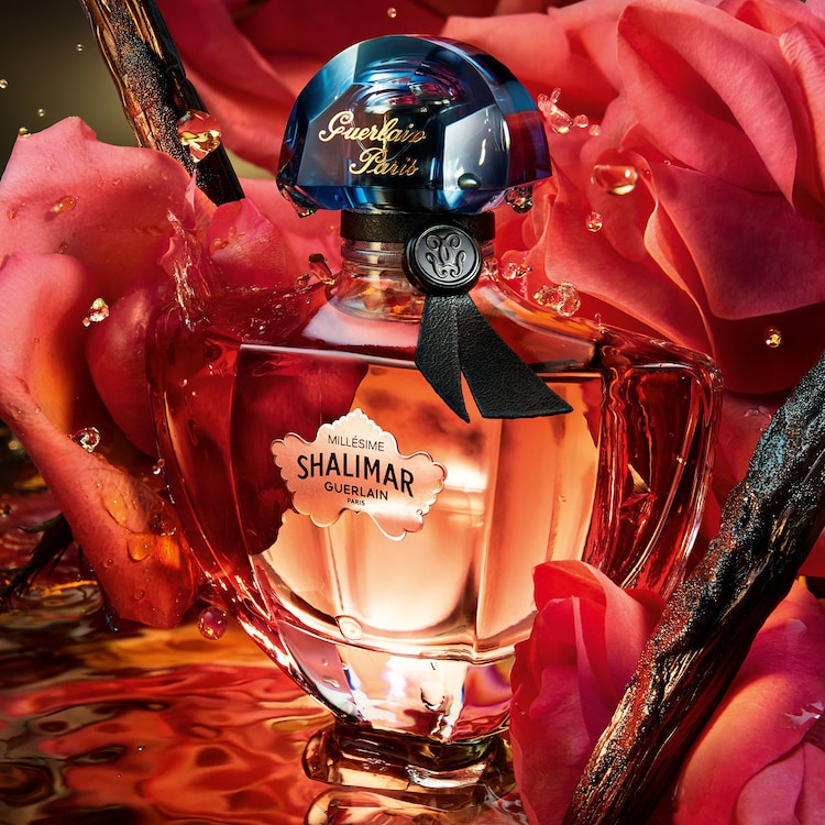 Shalimar Millésime Rose - Eau de Parfum