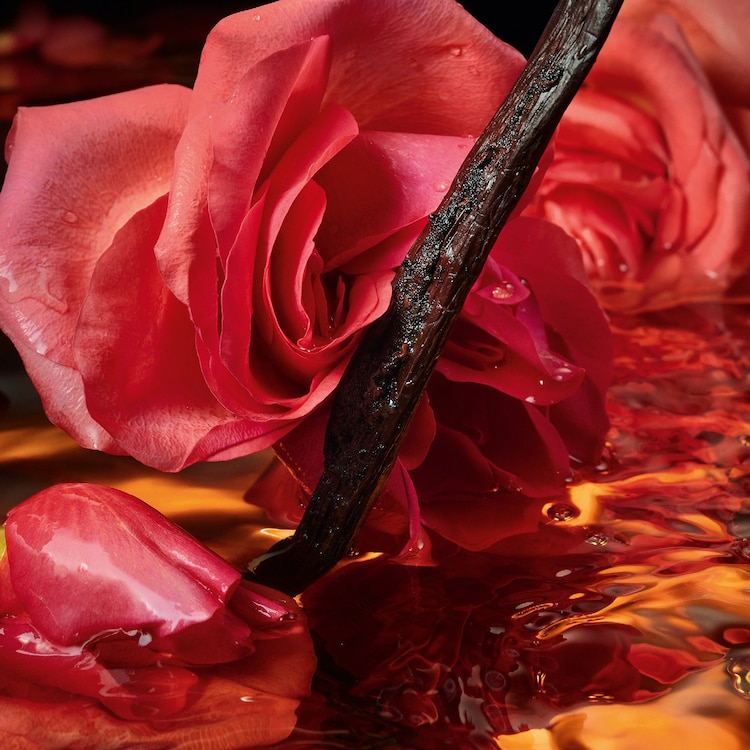 Shalimar Millésime Rose - Eau de Parfum