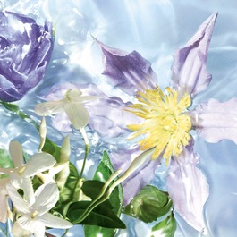 Aqua Allegoria Flora Salvaggia - Woda Toaletowa