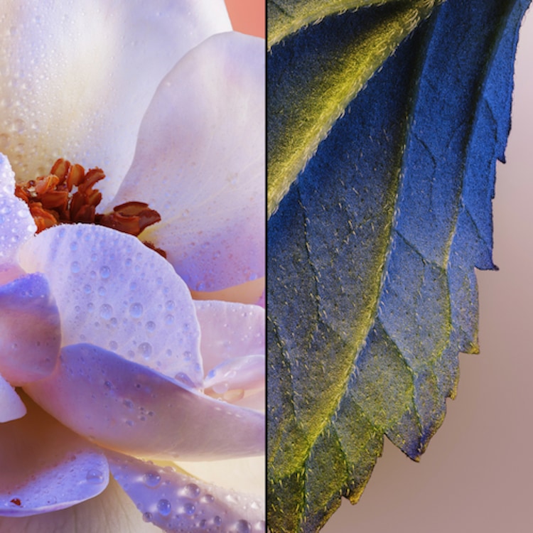 Idylle - Eau de Parfum