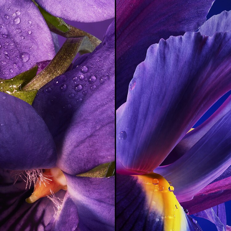 Insolence - Eau de Toilette