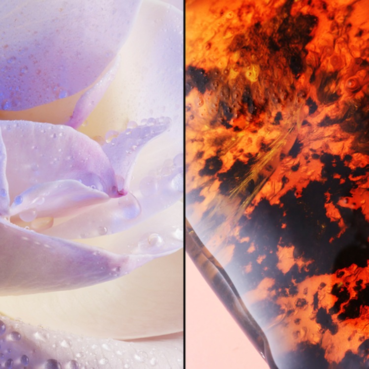 L'Instant de Guerlain - Eau de Parfum