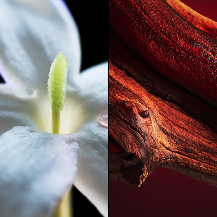 Samsara - Eau de Toilette