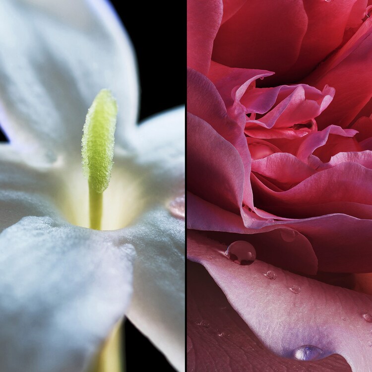 Les Légendaires Liu - Eau de Parfum